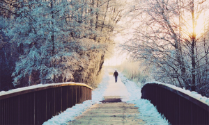 freddo uomo ponte neve