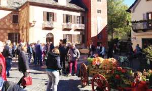 fuori zucca 16 maggiore