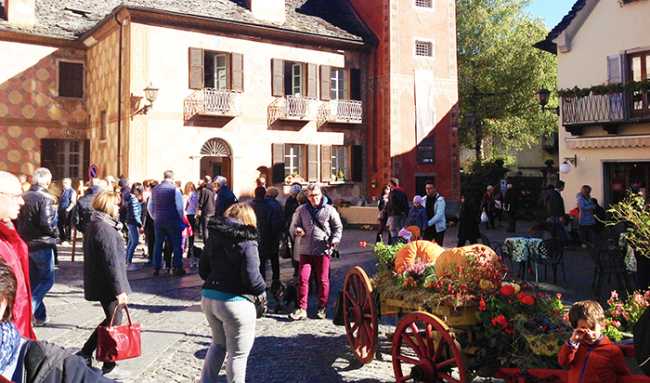 fuori zucca 16 maggiore