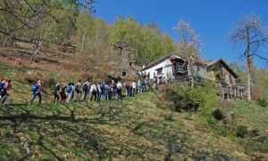 gita images articles vco ossola 2022 giugno thumb medium650 0