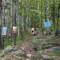 Crevola Art Trekking: Kunstwanderung und Konzert in den Alpen am 7. Juni