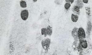neve impronte