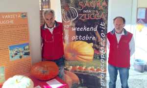 ortofrutticola rosmini zucca