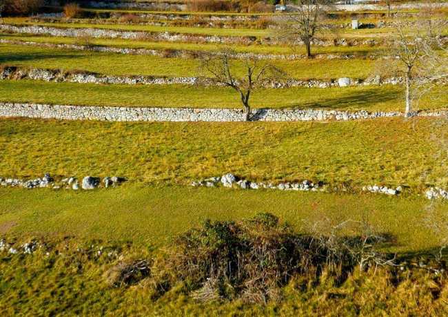paesaggi terrazzati