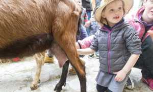 pasqua santa maria maggiore