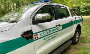 polizia provinciale