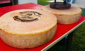 prime forma Bettelmatt marchiatura 2017