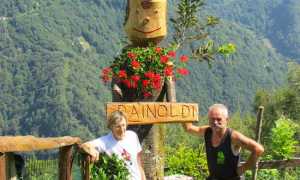 rainold pinocchio legno