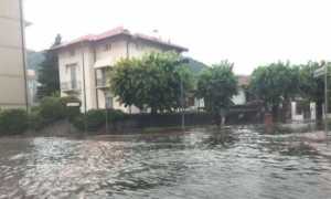 rotonda pallanza allagata