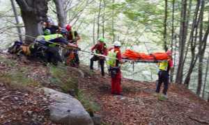 soccorso barelle bosco
