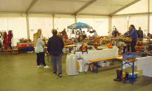 svuota cantine pieve vergonte