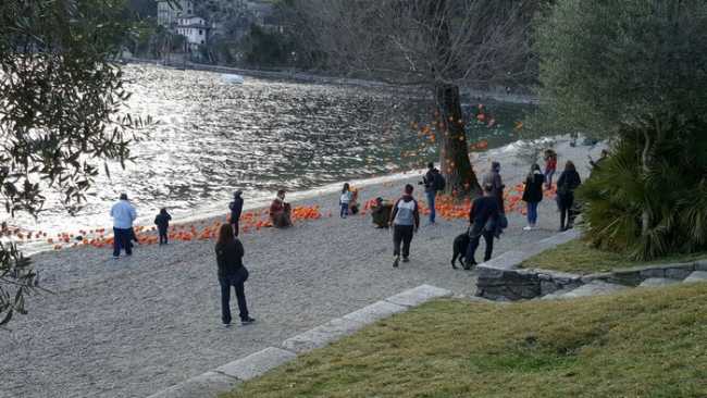 agrumi cannero riviera