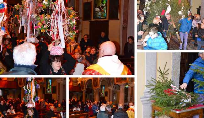 cavagnette mix borogmezzavalleb