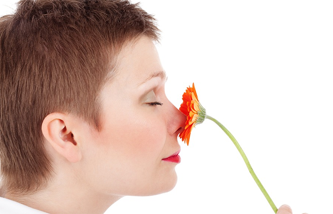 Einen schönen 8. März und Glückwünsche an alle Frauen