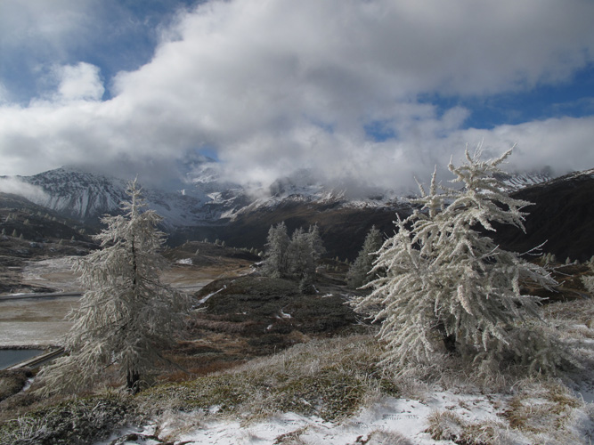 Hier sind die Veranstaltungen im Ossola Tal über das Wochenende