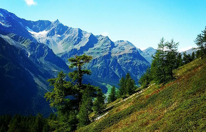 Gebirgslauf "Grand Bücc Sky Race" am Sonntag in Trasquera