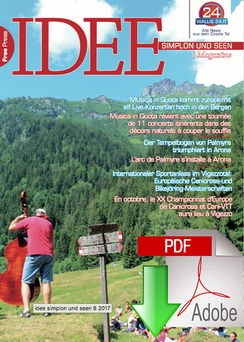 idee juni 2017