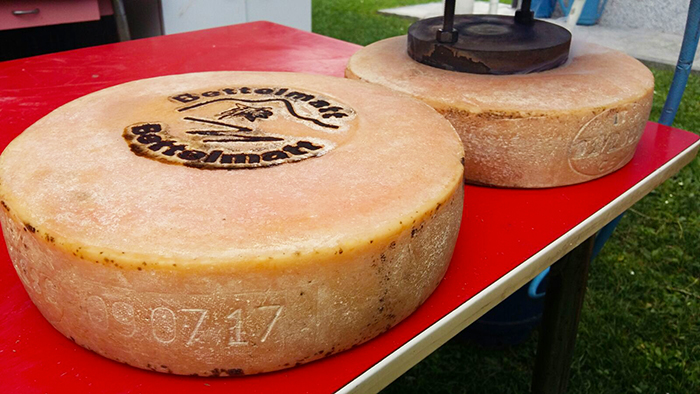Stempelung des Bettelmatt-Käses an der "Cheese"-Messe von Bra: der Rolls Royce der italienischen Käsesorten