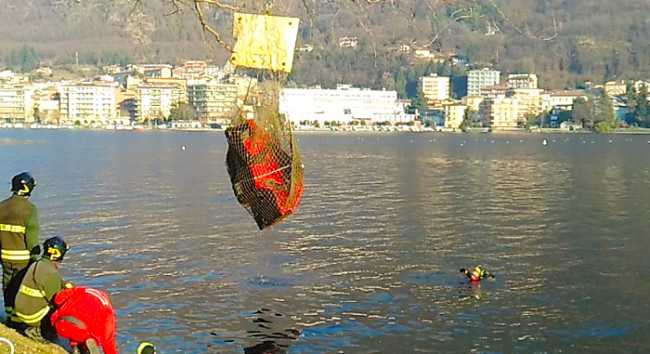 sulky omegna lago orta