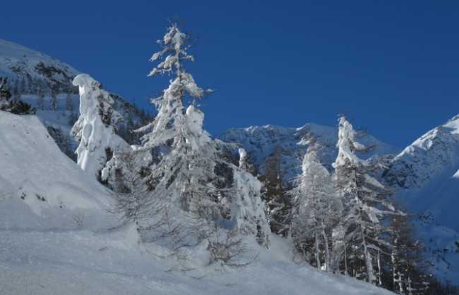 Schermata 2018 02 16 alle 11.12.07