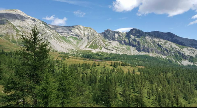 bognanco monscera valle estate