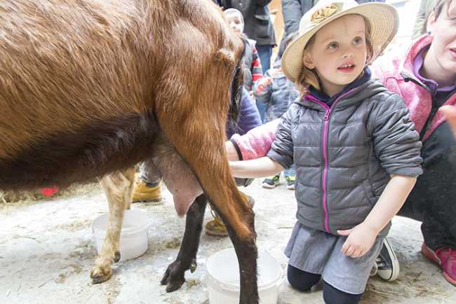 pasqua santa maria maggiore