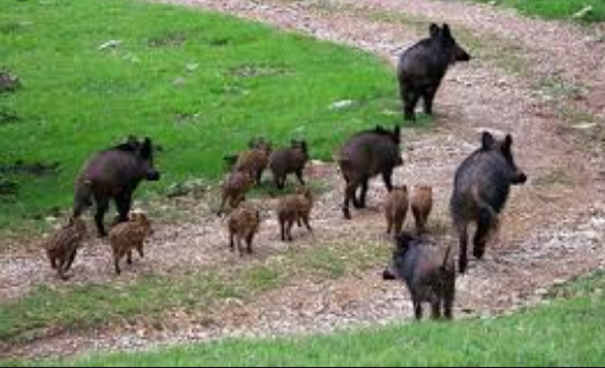 Schermata 2019 08 24 alle 10.05.54