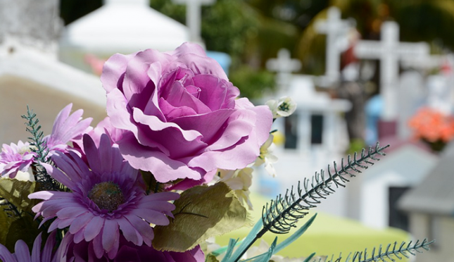 Schermata 2019 08 24 alle 10.11.33