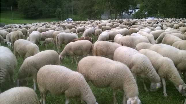 Schermata 2019 09 27 alle 13.38.21