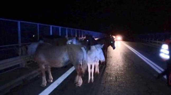 Schermata 2019 10 18 alle 15.45.46