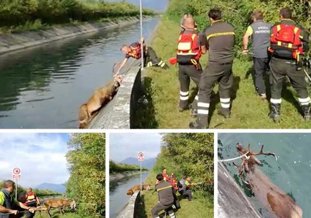 Schermata 2019 10 23 alle 18.17.38