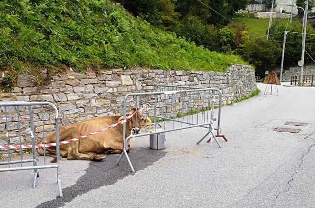 Schermata 2019 10 30 alle 17.49.16