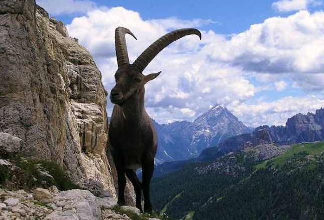 Schermata 2019 11 07 alle 13.37.50