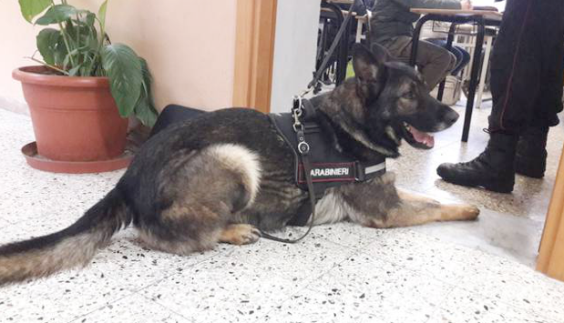 Schermata 2019 12 12 alle 13.21.53