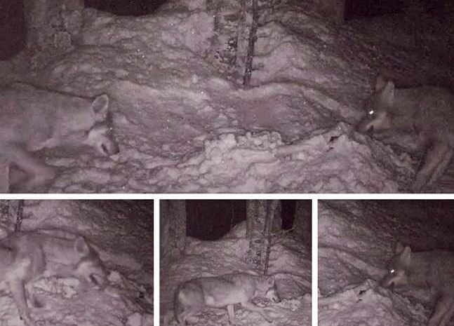 Schermata 2019 12 12 alle 13.23.36