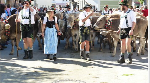 Schermata 2020 01 14 alle 15.42.29