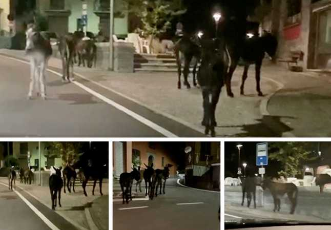 Schermata 2020 08 07 alle 08.13.47