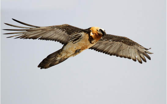 Schermata 2020 08 29 alle 10.46.13