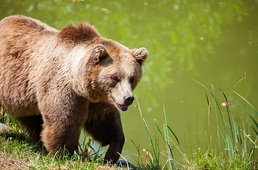 Schermata 2020 09 24 alle 16.19.37