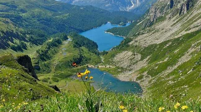 Schermata 2020 09 26 alle 11.49.16