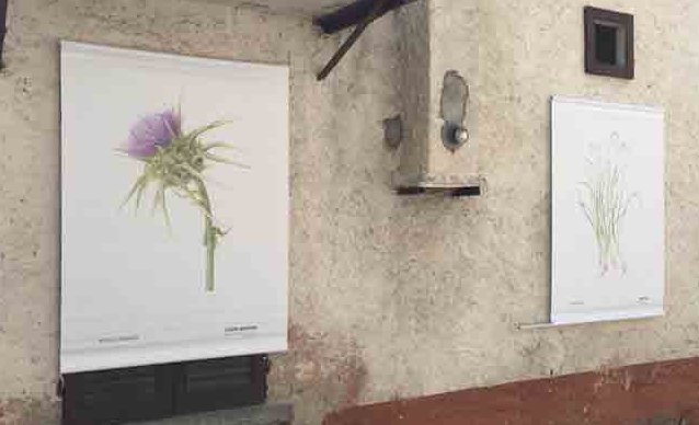 Schermata 2020 12 26 alle 10.50.45