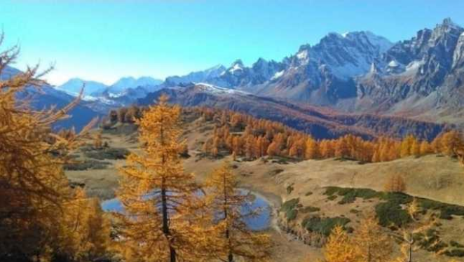 Petition “ Retten wir das Alpe Devero!”:  man hat schon 100tausend Unterschriften gesammelt