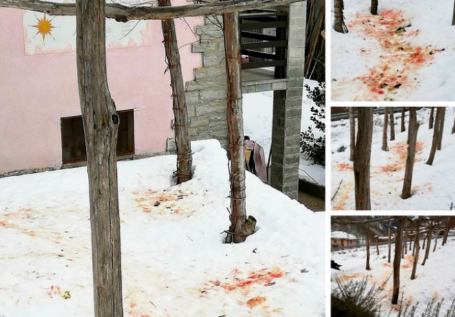Großer Blutfleck vor der Haustür: Wolfangriff im Dorfzentrum Viganellas 