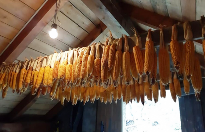 Polenta des Anzasca Tals, deren Zutaten Liebe, Leidenschaft, 100 Pflanzen Maismehl sind……und plötzlich ein dampfender Kessel. Bildgalerie