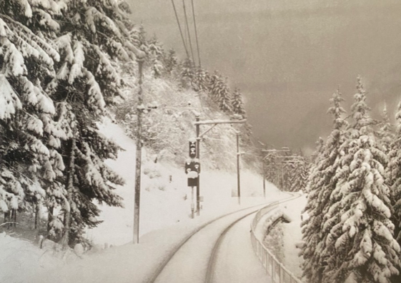 Schermata 2021 12 23 alle 15.14.10