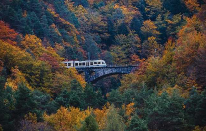Herbstfaszinationen mit dem “Foliage-Zug”