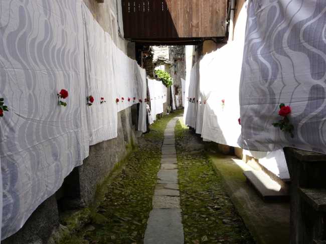 baranca arizona 007 images articles vco ossola 2022 maggio thumb medium650 0