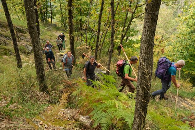 309613129 399281462368134 1734187057601102586 n