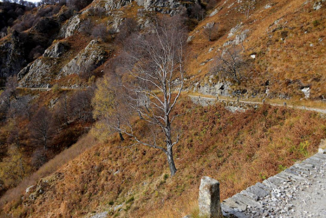 Schermata 2022 12 28 alle 08.32.23 images articles vco ossola 2022 dicembre thumb medium650 0